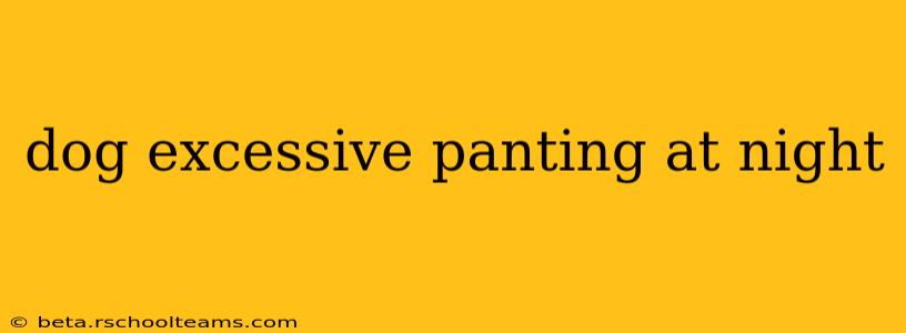 dog excessive panting at night