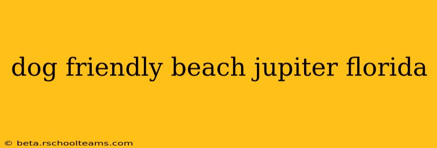 dog friendly beach jupiter florida