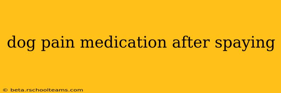 dog pain medication after spaying