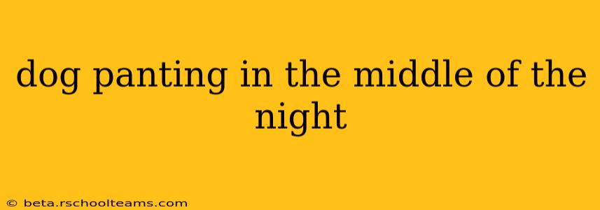 dog panting in the middle of the night