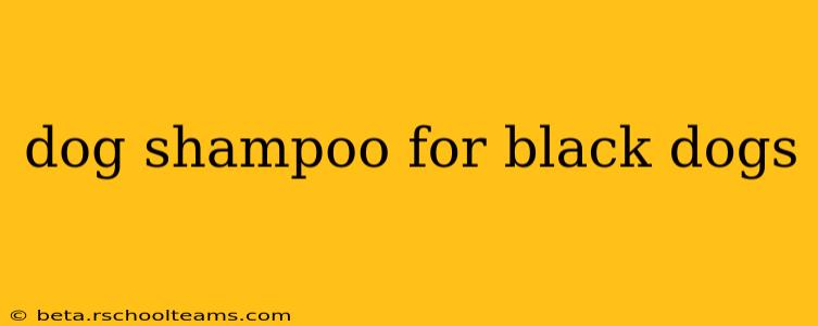 dog shampoo for black dogs