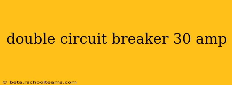 double circuit breaker 30 amp