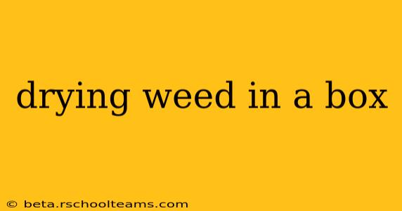 drying weed in a box