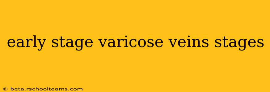 early stage varicose veins stages