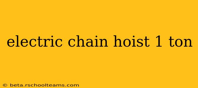 electric chain hoist 1 ton