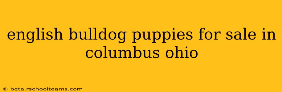 english bulldog puppies for sale in columbus ohio