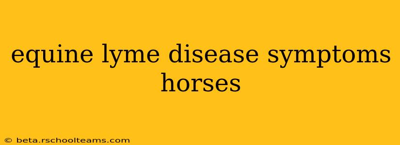 equine lyme disease symptoms horses