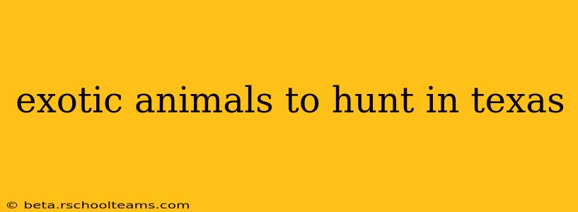 exotic animals to hunt in texas
