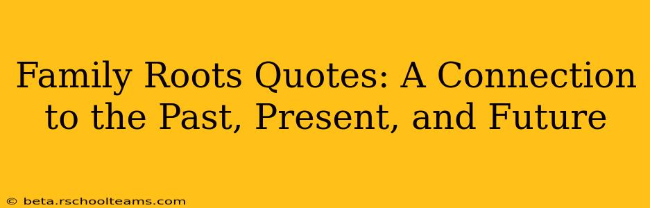 Family Roots Quotes: A Connection to the Past, Present, and Future