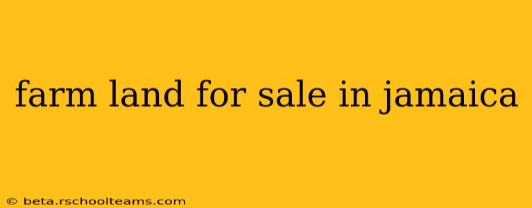 farm land for sale in jamaica