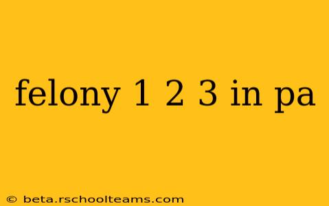 felony 1 2 3 in pa