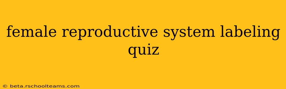 female reproductive system labeling quiz