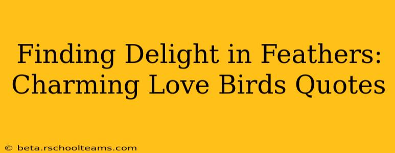Finding Delight in Feathers: Charming Love Birds Quotes