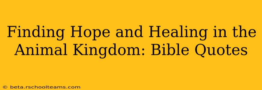 Finding Hope and Healing in the Animal Kingdom: Bible Quotes