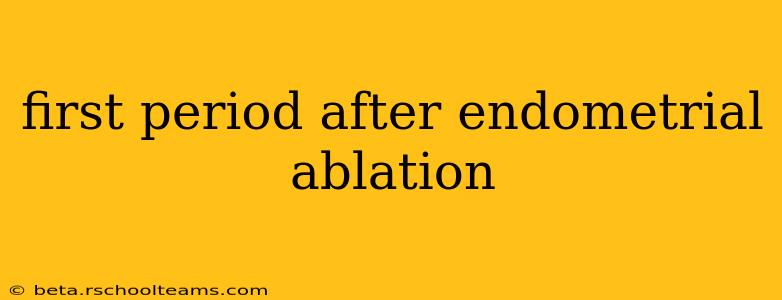 first period after endometrial ablation
