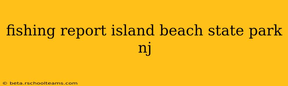fishing report island beach state park nj