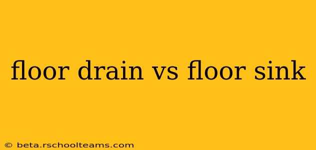 floor drain vs floor sink