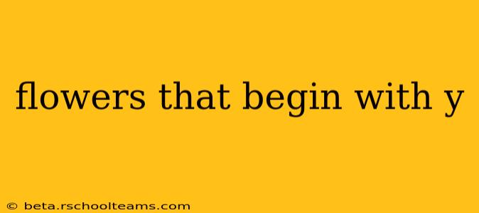 flowers that begin with y