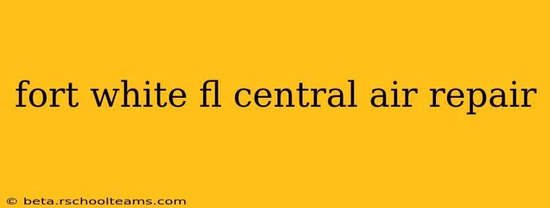 fort white fl central air repair