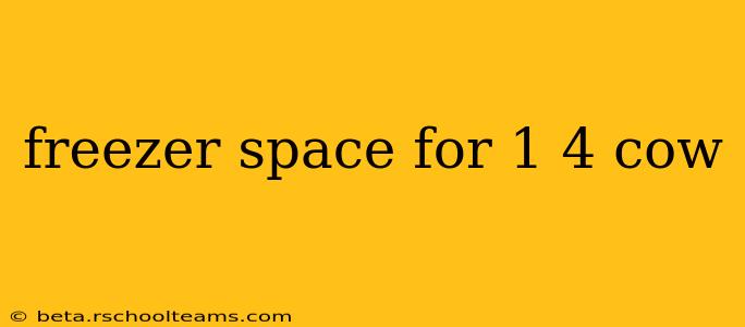 freezer space for 1 4 cow