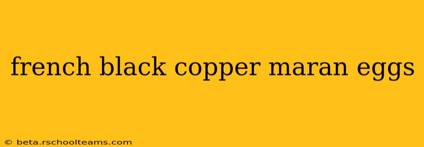 french black copper maran eggs