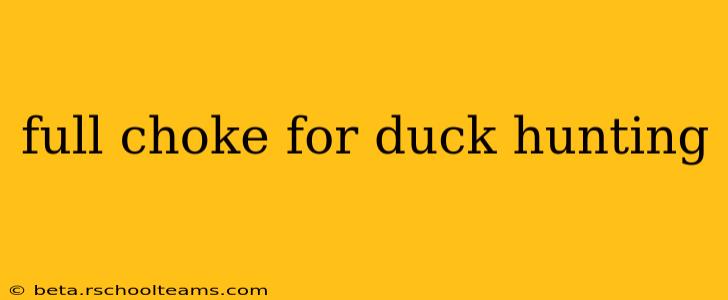 full choke for duck hunting