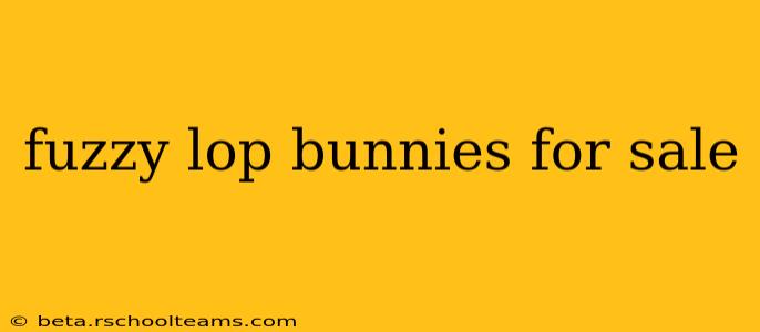 fuzzy lop bunnies for sale