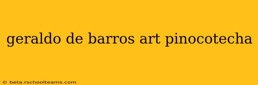 geraldo de barros art pinocotecha