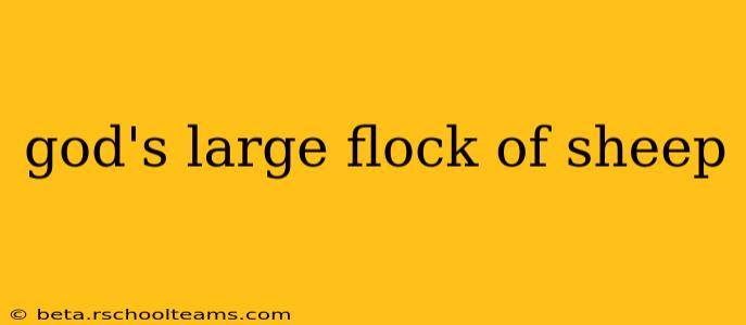 god's large flock of sheep