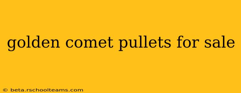 golden comet pullets for sale