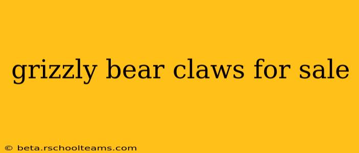 grizzly bear claws for sale