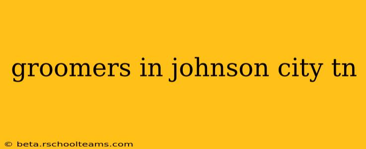 groomers in johnson city tn