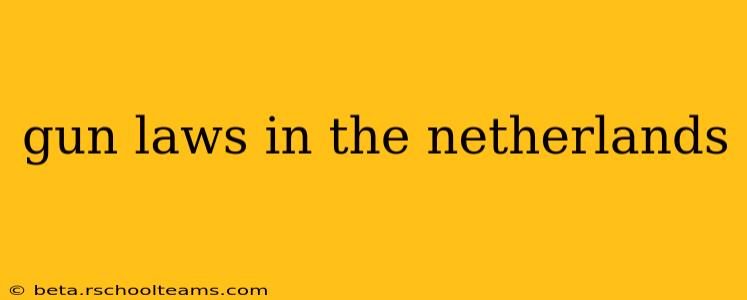 gun laws in the netherlands