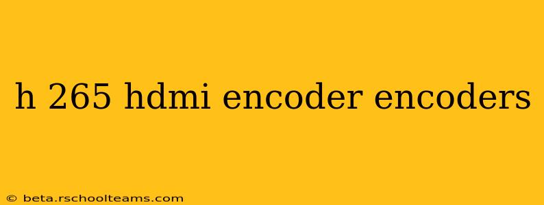 h 265 hdmi encoder encoders
