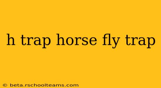 h trap horse fly trap
