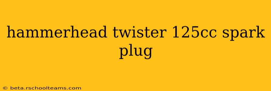 hammerhead twister 125cc spark plug