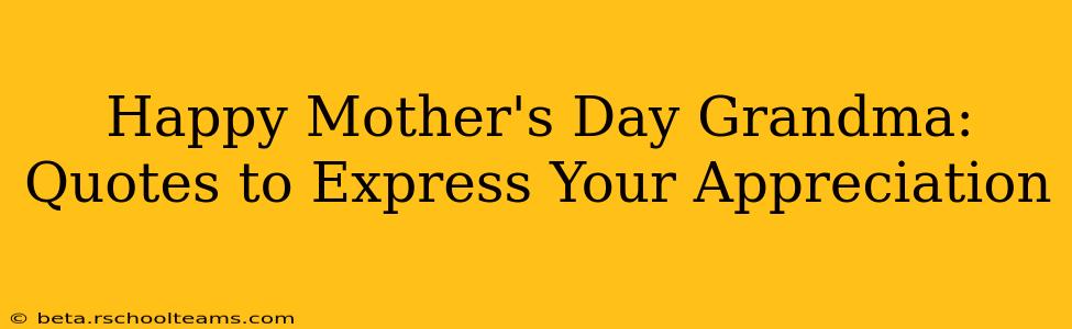 Happy Mother's Day Grandma: Quotes to Express Your Appreciation