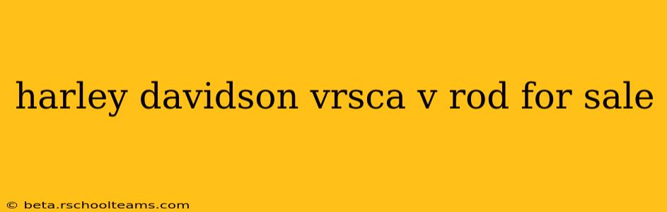 harley davidson vrsca v rod for sale