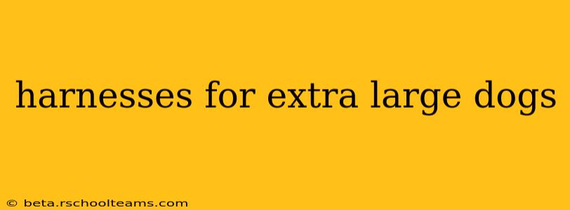 harnesses for extra large dogs