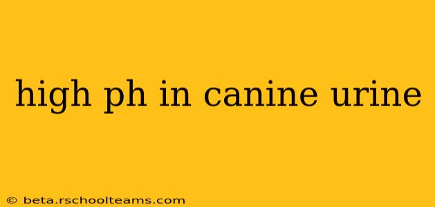 high ph in canine urine