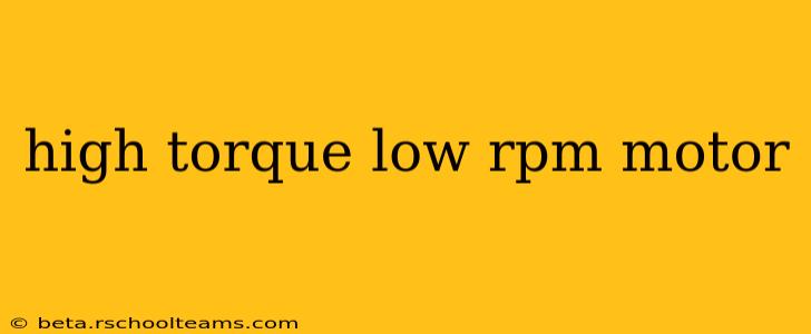high torque low rpm motor