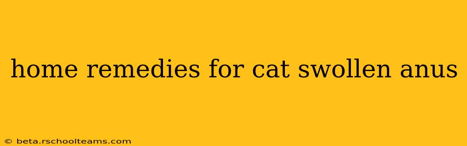 home remedies for cat swollen anus