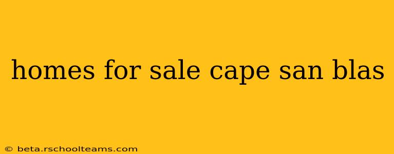 homes for sale cape san blas