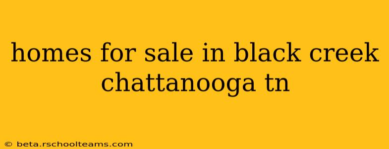 homes for sale in black creek chattanooga tn