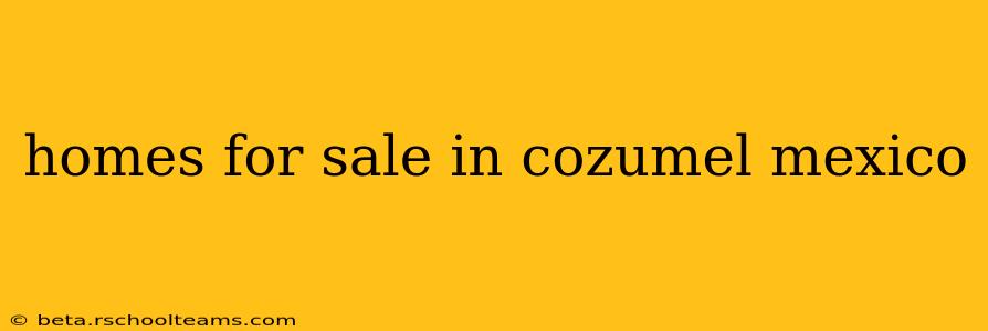 homes for sale in cozumel mexico