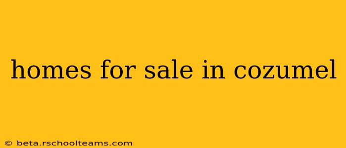 homes for sale in cozumel