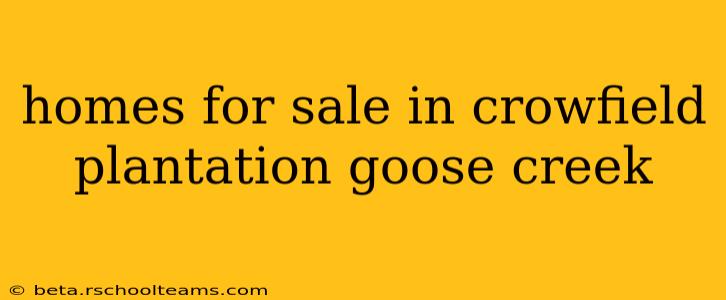 homes for sale in crowfield plantation goose creek