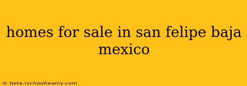 homes for sale in san felipe baja mexico