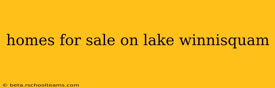 homes for sale on lake winnisquam