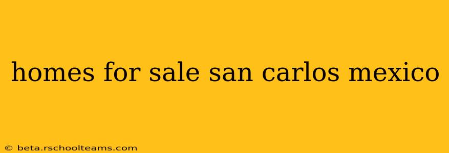 homes for sale san carlos mexico